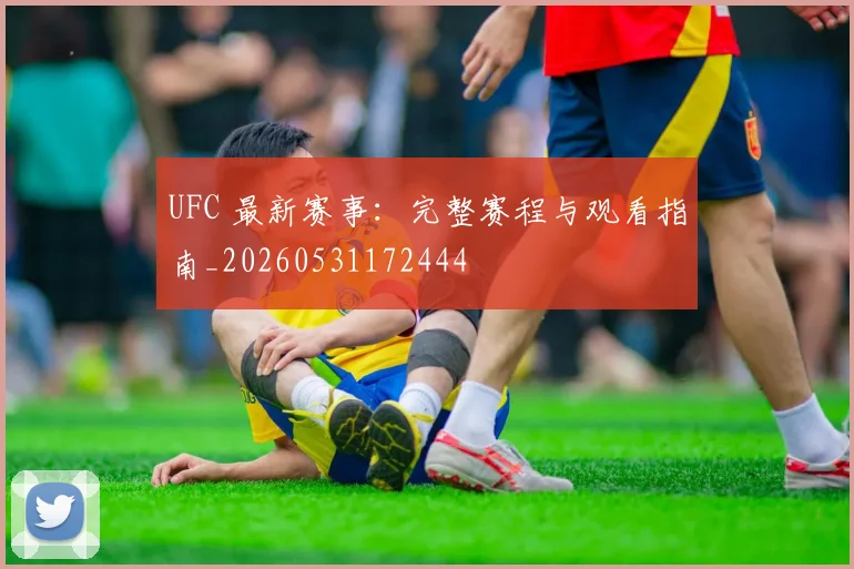 UFC 最新赛事：完整赛程与观看指南_20260531172444