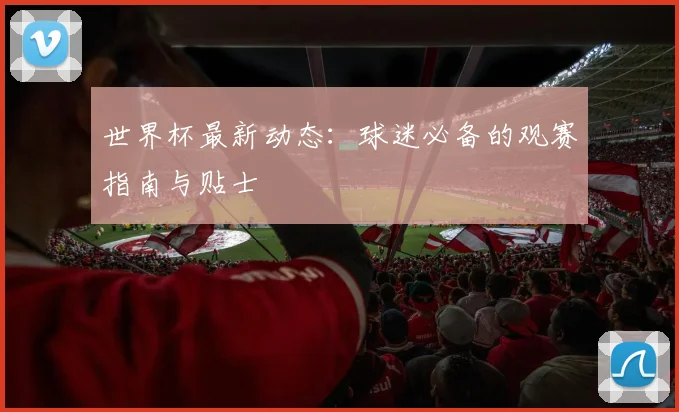 世界杯最新动态：球迷必备的观赛指南与贴士