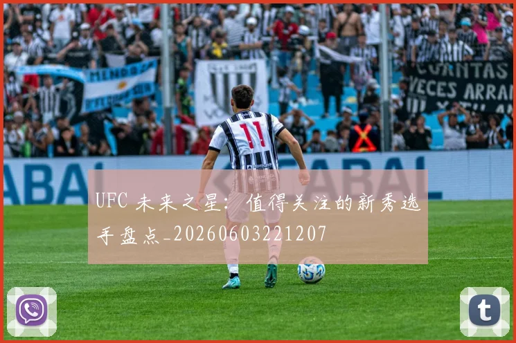 UFC 未来之星:值得关注的新秀选手盘点_20260603221207