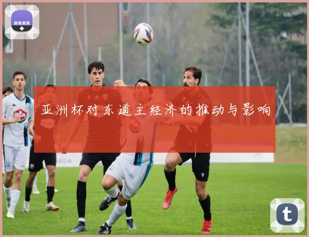 亚洲杯对东道主经济的推动与影响